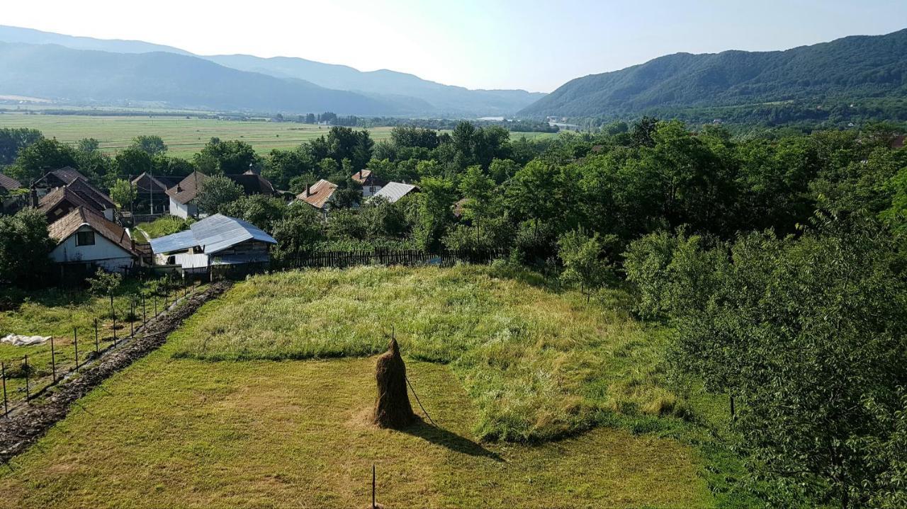 Pensiunea Adeluta Apartament Călimăneşti 외부 사진